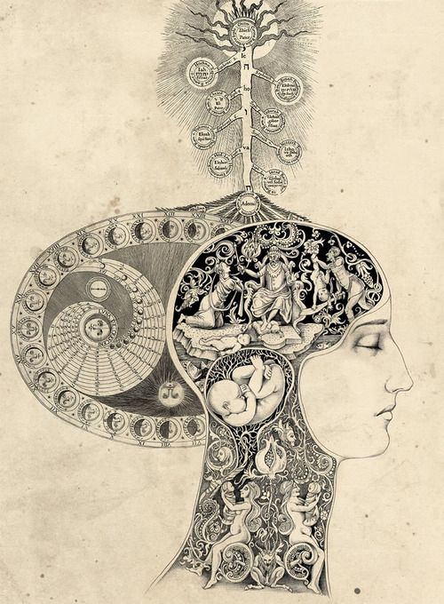 1794659_10152323328149884_26096458_n