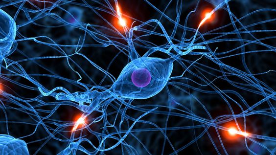 Un caso de síndrome de Asperger, por Maite&nbsp;Corzo