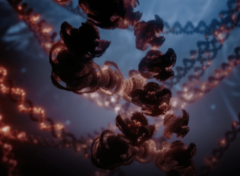 La salud como mensaje espiritual