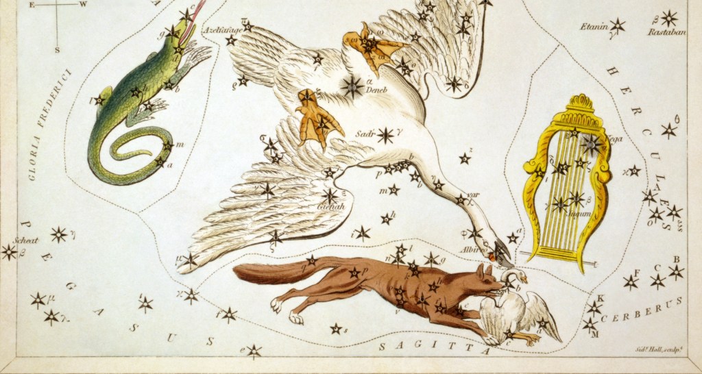 2024 Desde Vega, por Carlos&nbsp;Campelo